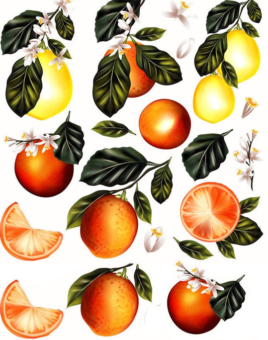 Citrus Oranges and Lemons - Ceramic Decals- Enamel Decal - Fusible Decal - Glass Fusing Decal ~ Waterslide Decal - 55638